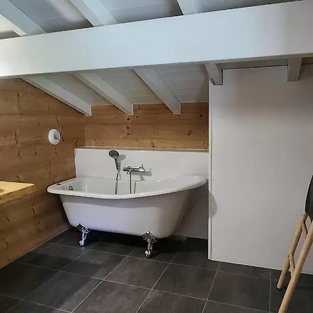 Le Saint Bernard - Sauna - Alp'in C - * Châtel