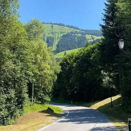 Le Saint Bernard - Sauna - Alp'in C - * Châtel