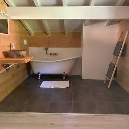 Alpehytte Le Saint Bernard - Sauna - Alp'in C - Châtel