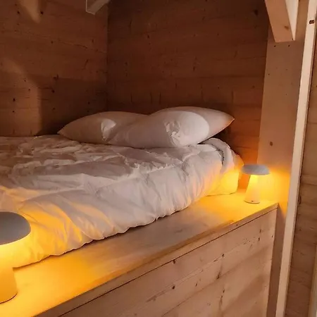 Alpehytte Le Saint Bernard - Sauna - Alp'in C -